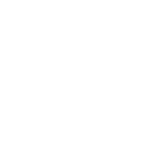 Protección VIP