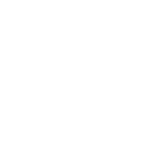 Seguridad Física